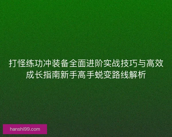 打怪练功冲装备全面进阶实战技巧与高效成长指南新手高手蜕变路线解析